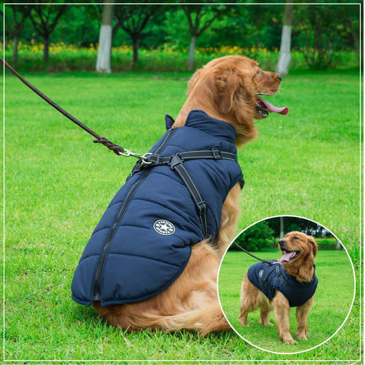 Dog Coat with Integrated Harness